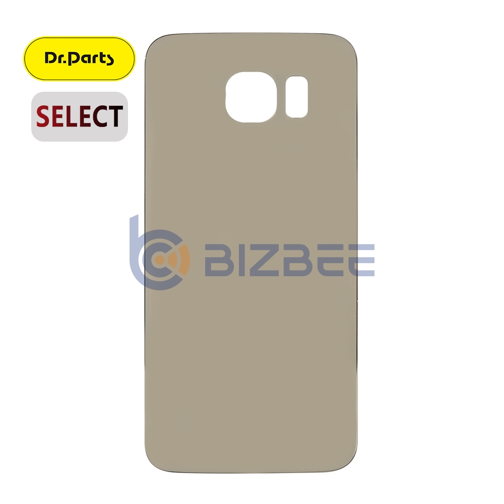 Dr.Parts Back Cover Without Logo For Samsung Galaxy S6 (Select) (Gold Platinum )